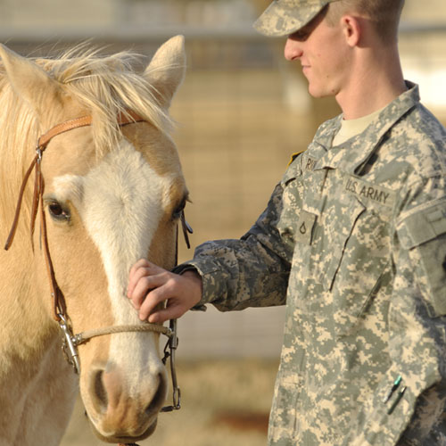 EAGALA Military Services
